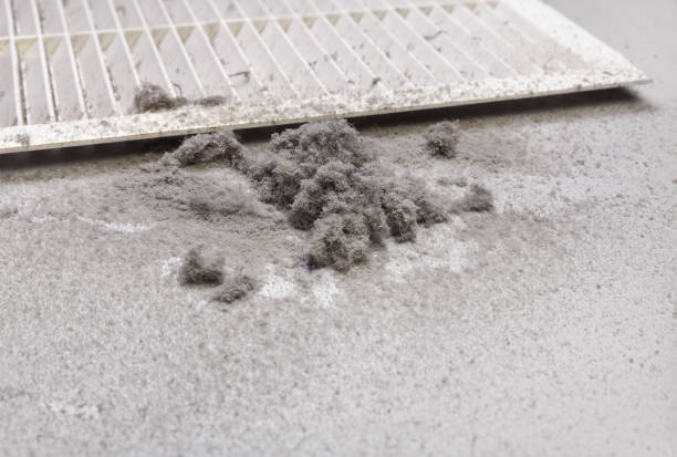 Best Air Duct Sanitizing Services  in Georgetown, IN