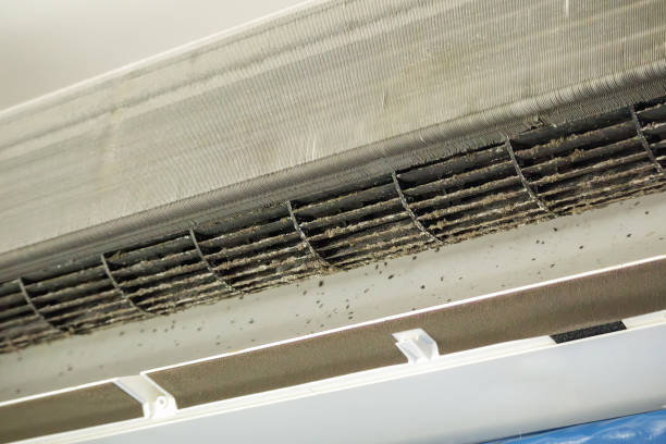 Best Commercial Air Duct Cleaning  in Georgetown, IN